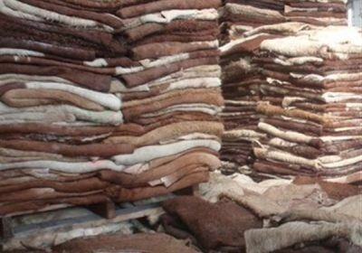 Wet Salted And Dried Donkey Hides Goat Jpg 350x350